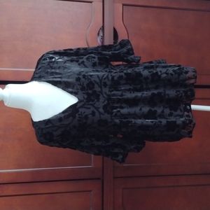 Burnout Velvet Victorian Feminine Floral Blouse L
